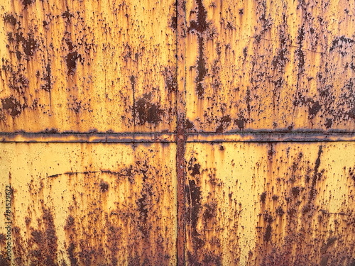 portone di metallo con ruggine, metal door with rust photo