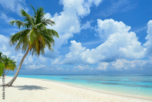 Sunny beach in the Maldives. Palm trees, white sand, ocean. Landscape view from the shore. © maxcol79