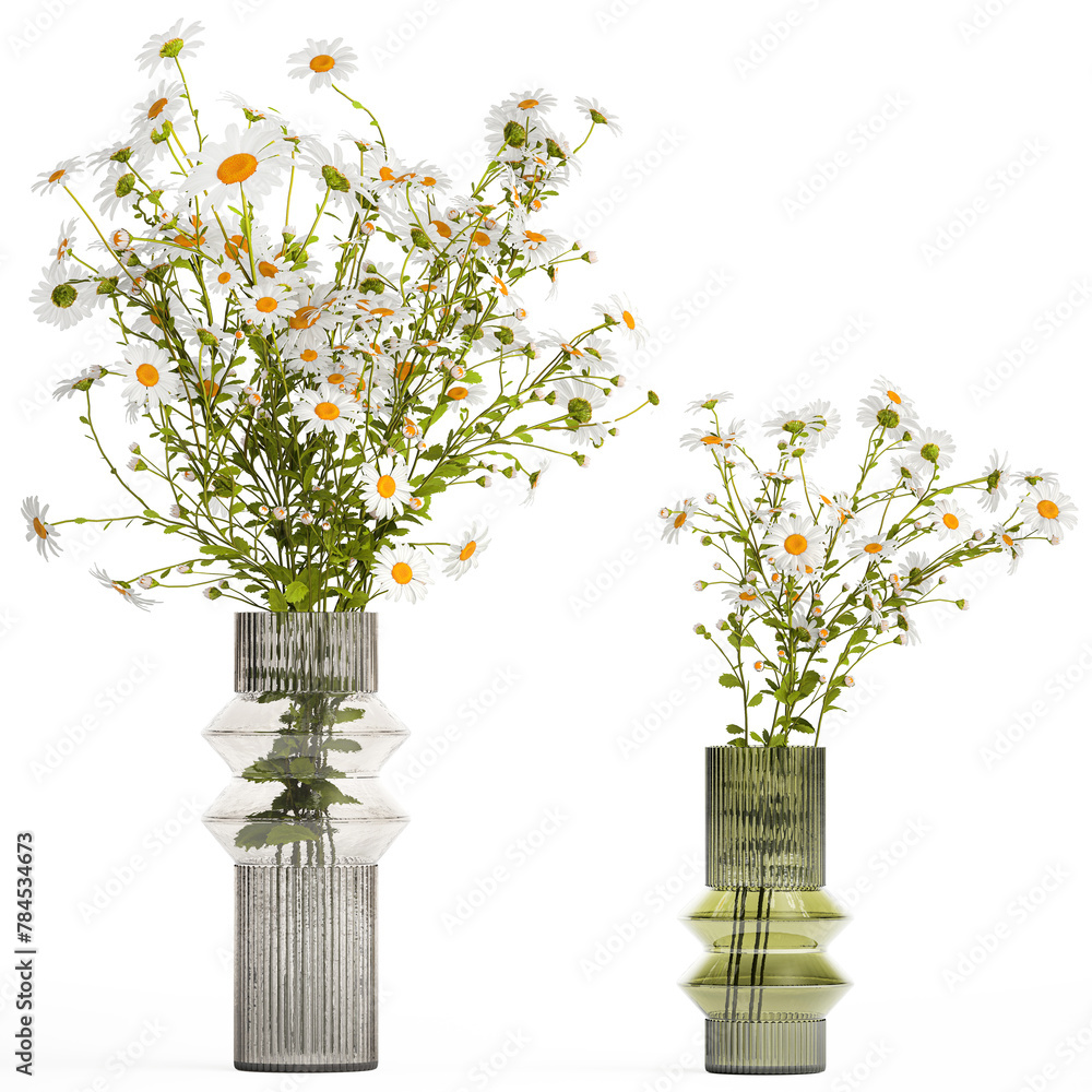  Small bouquet of wildflowers daisies chamomile isolated on white background - obrazy, fototapety, plakaty 