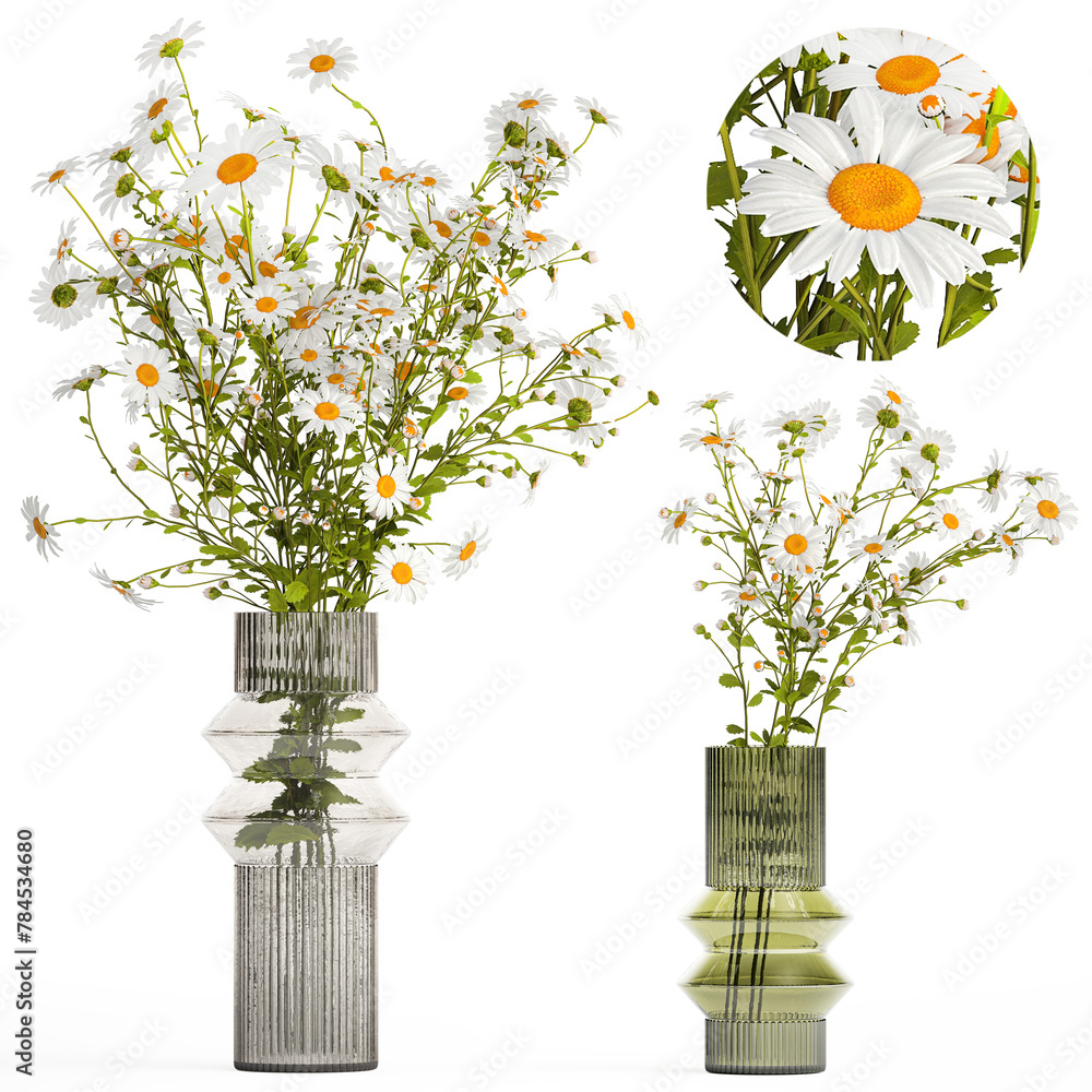  Small bouquet of wildflowers daisies chamomile isolated on white background - obrazy, fototapety, plakaty 
