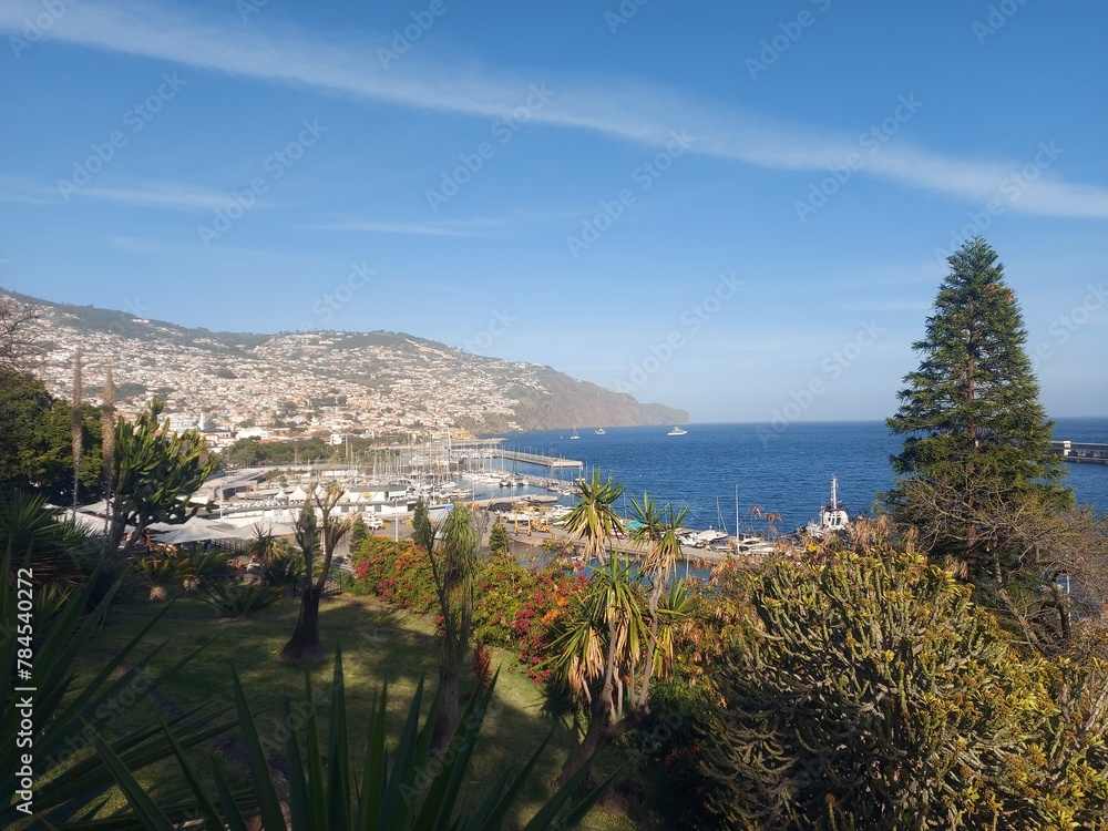 Park, green, nature, outdoor, tree, bushes, sky, clouds, cityescape, cliff, mountains, backgroud, biew, garden, outside, street, blue, calm, peace, portugal, europe, madeira, madeira island