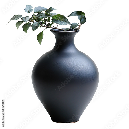 Front view of a sleek black matte ceramic vase isolated on a white transparent background