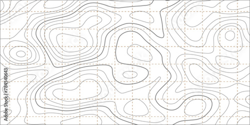 Gray topographic line contour map background, geographic grid map, Abstract background with fine lines - hand drawn vector illustration. photo