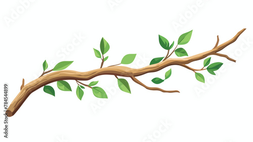 Twig with green leaves illustration. Tree branch sp