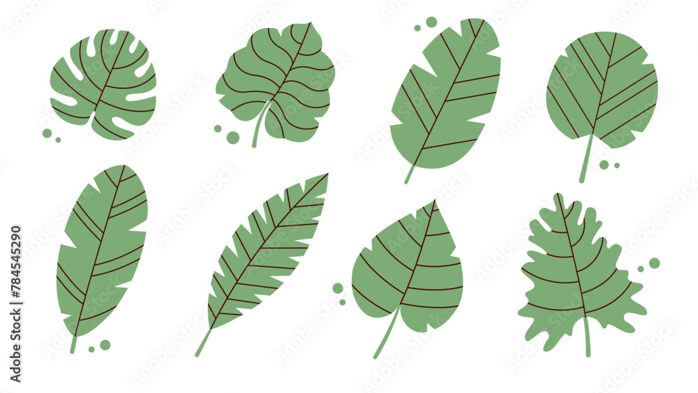 Obraz premium Collection with tropical green leaves. Palm leaves, monsters, bright jungle forest. Botanical vector illustration. Modern exotic design. Summer Journey. Tropical set of vector illustrations.