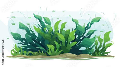 Underwater seaweed spirulina aquatic marine algae p