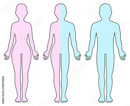 Male, female and half man half woman body outline