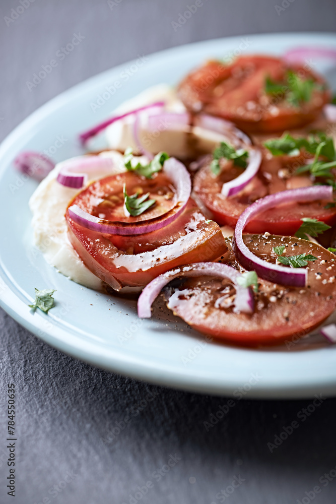 Summer Salad with Mozzarella Cheese, Tomatoes and red Onion. Stone background. Close up. Copy space Summer Salad with Mozzarella Cheese, Tomatoes and red Onion. Stone background. Close up. Copy space