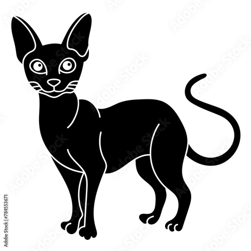 oriental shorthair