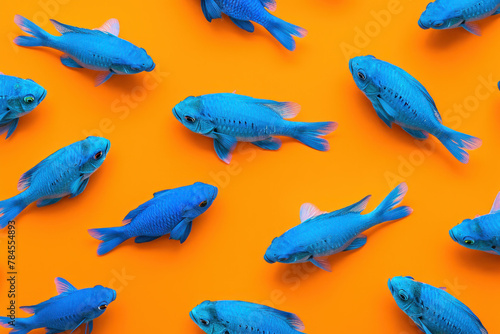 Group of Blue Fish Swimming in Vibrant Orange Waters with Blue Sky Background