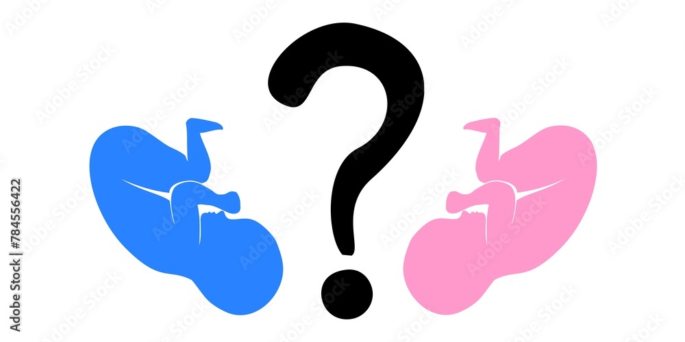 Who have a boy or a girl. Heart question mark isolated on White background. illustration Who have a boy or a girl. Heart question mark isolated on White background. illustration