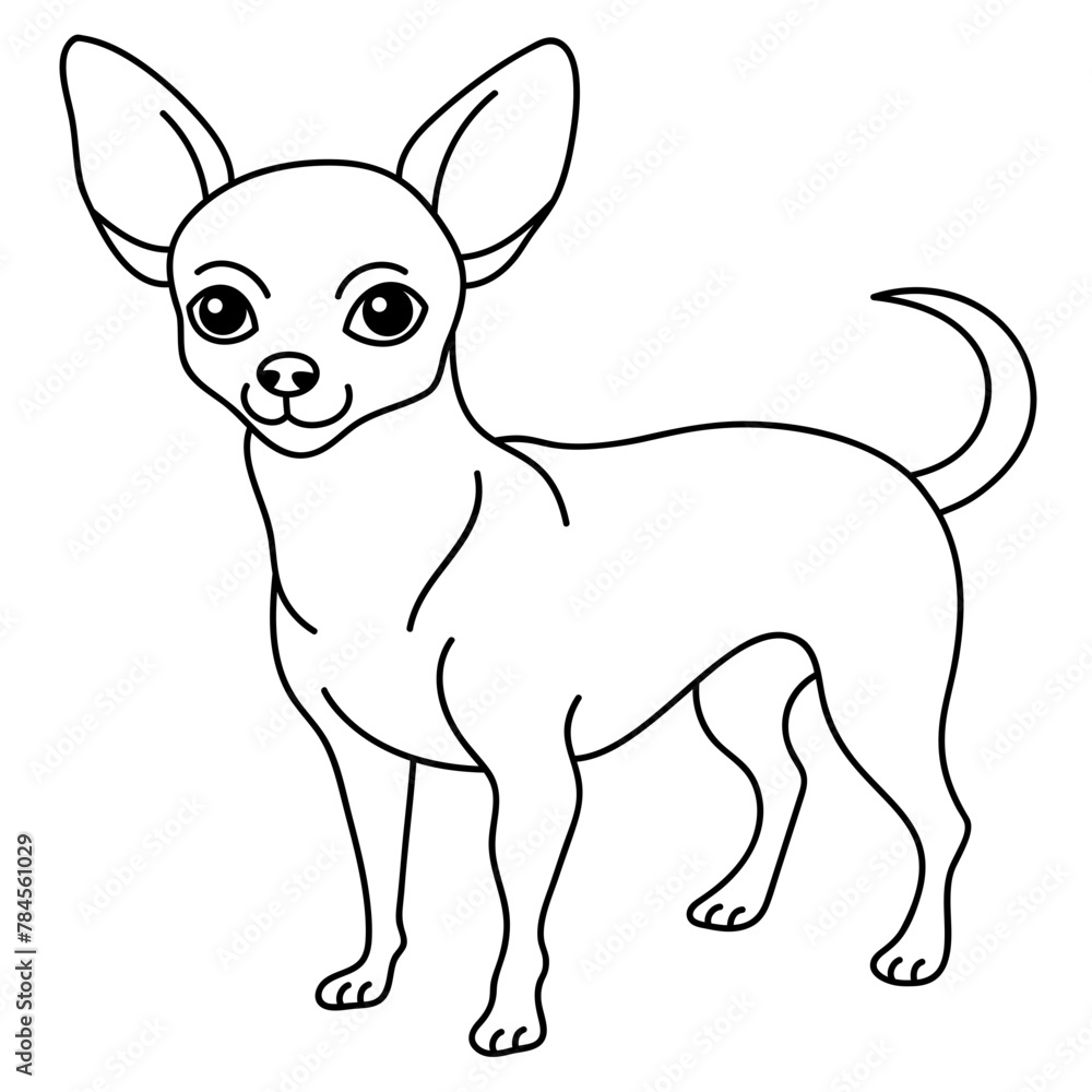 chihuahua chihuahua