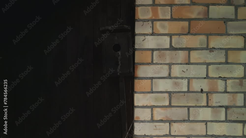 Birdhouse: Brick wall with black door, building in background Birdhouse: Brick wall with black door, building in background
