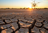 Dry land, with arid and cracked soil because of drought, due to climate change