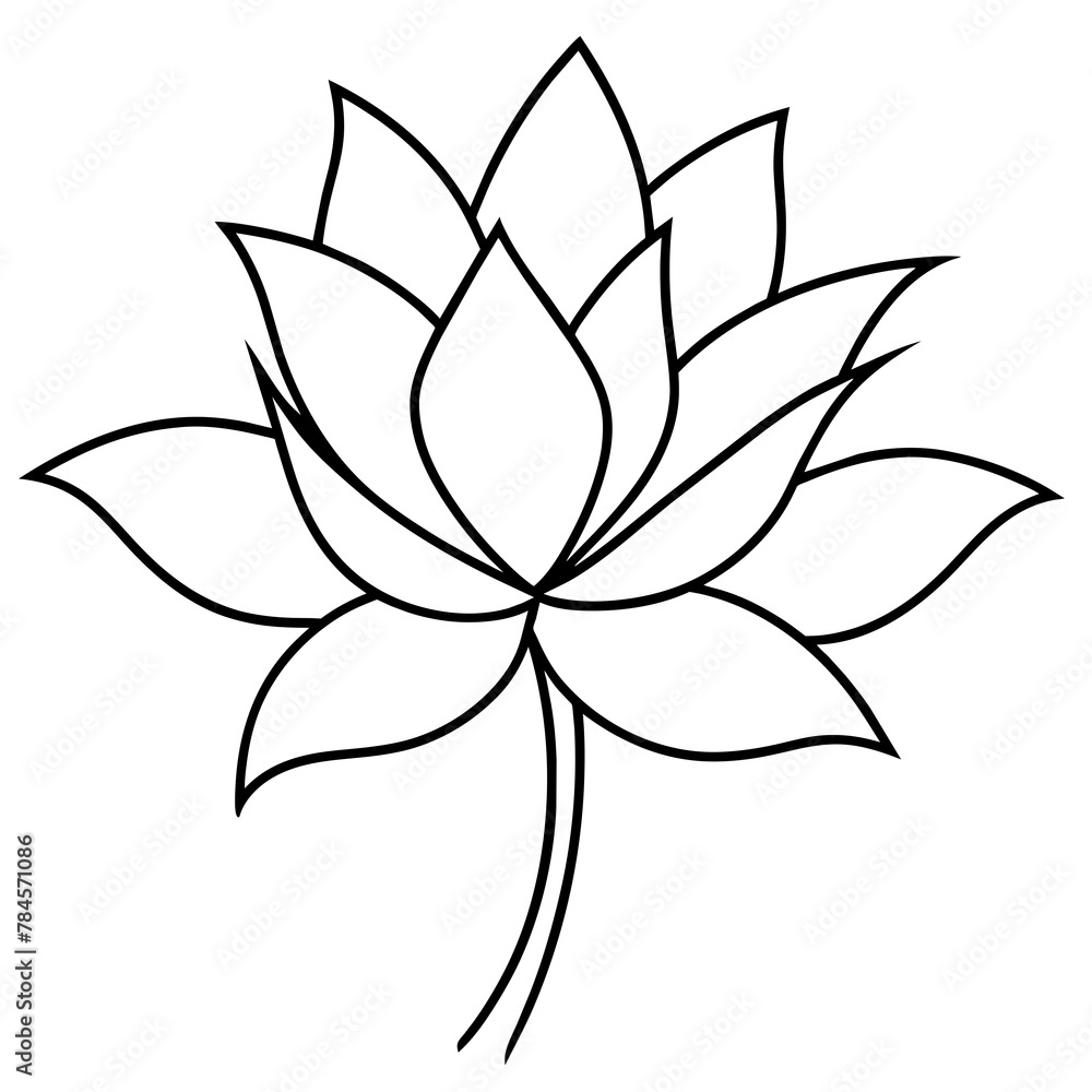    Flower vector illustration with line art.
