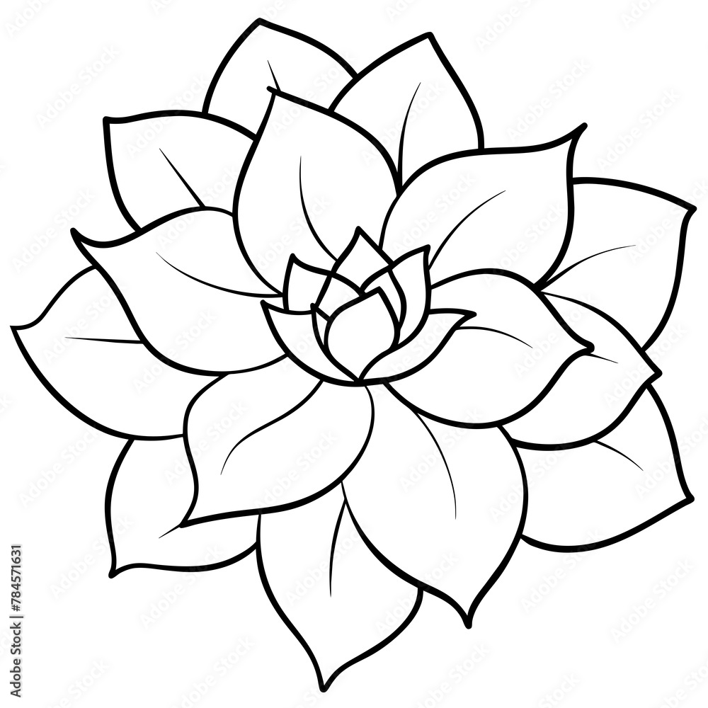 Flower vector illustration.
Flower vector illustration.