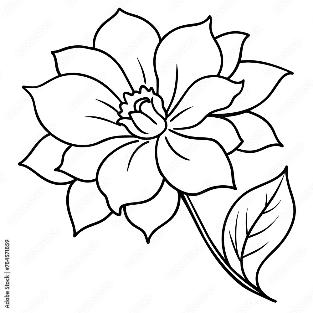 Flower vector illustration.
Flower vector illustration.