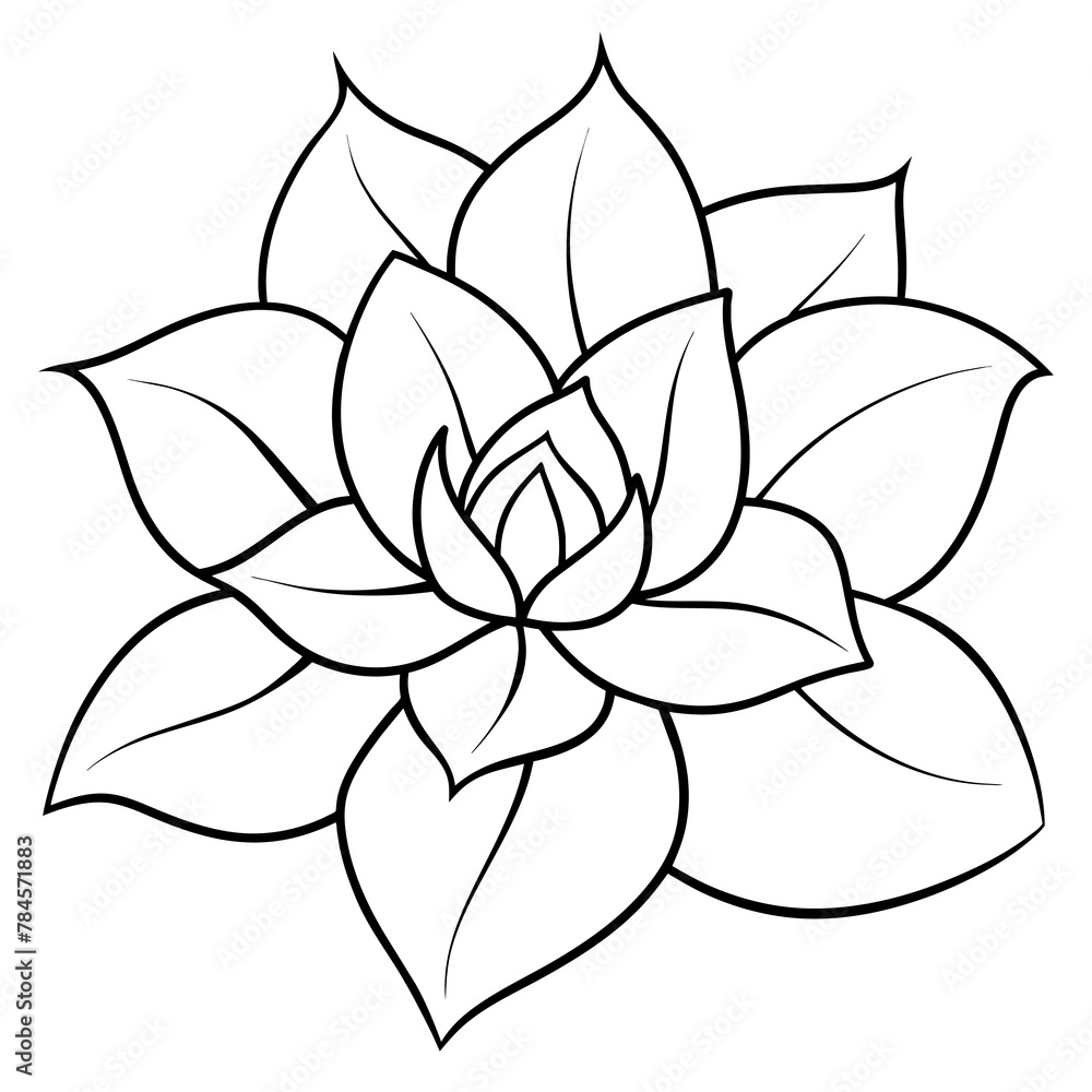 Flower vector illustration.
Flower vector illustration.