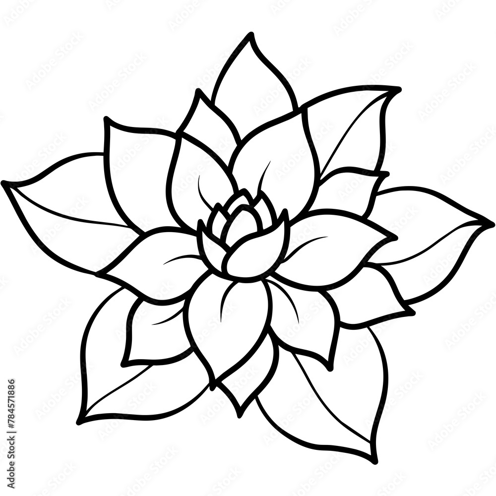 Flower vector illustration.
Flower vector illustration.