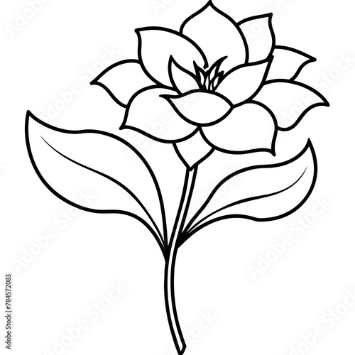    Flower vector illustration with line art.