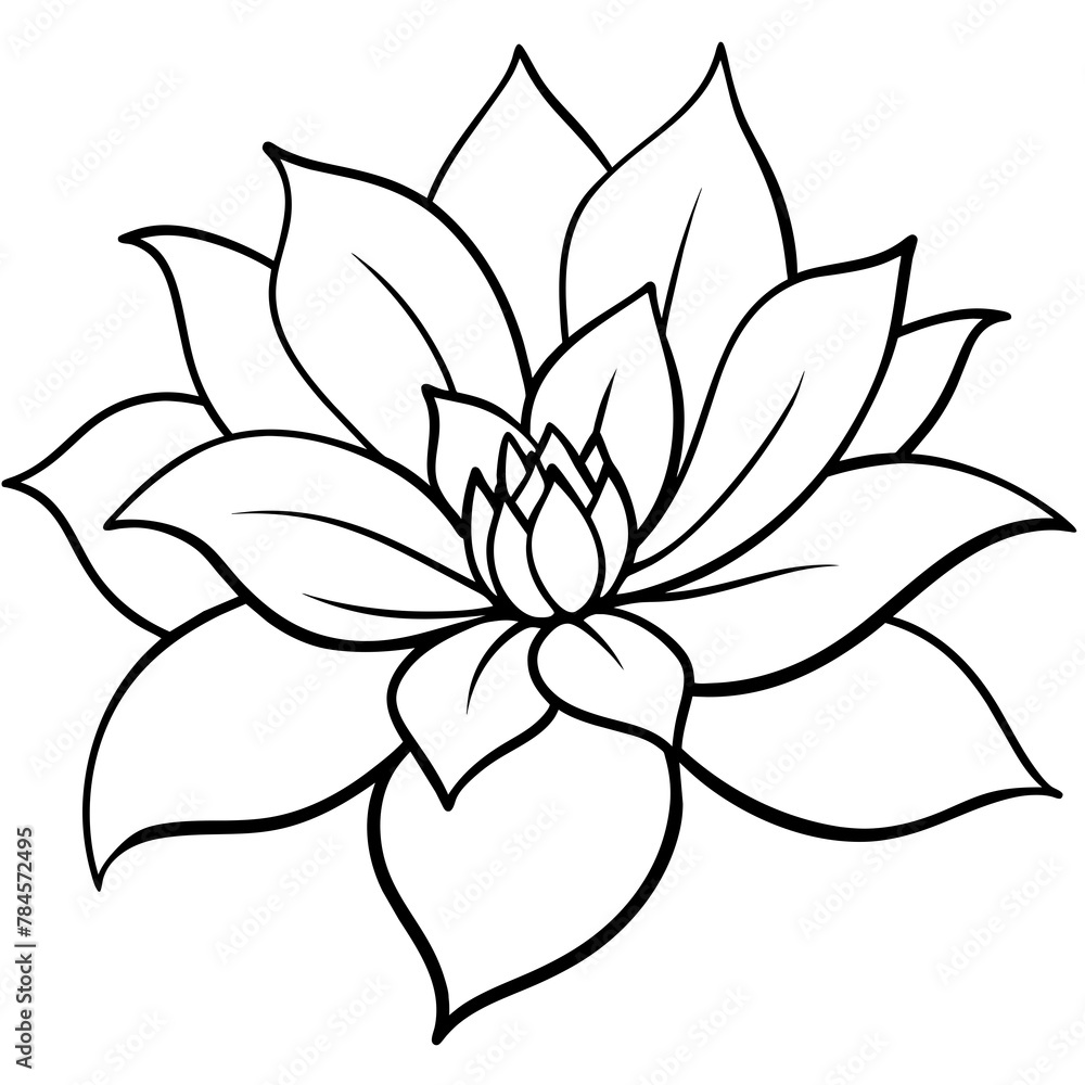 Flower vector illustration with line art.
Flower vector illustration with line art.