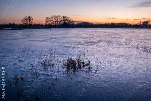 A frozen lake with reeds, an evening view in March