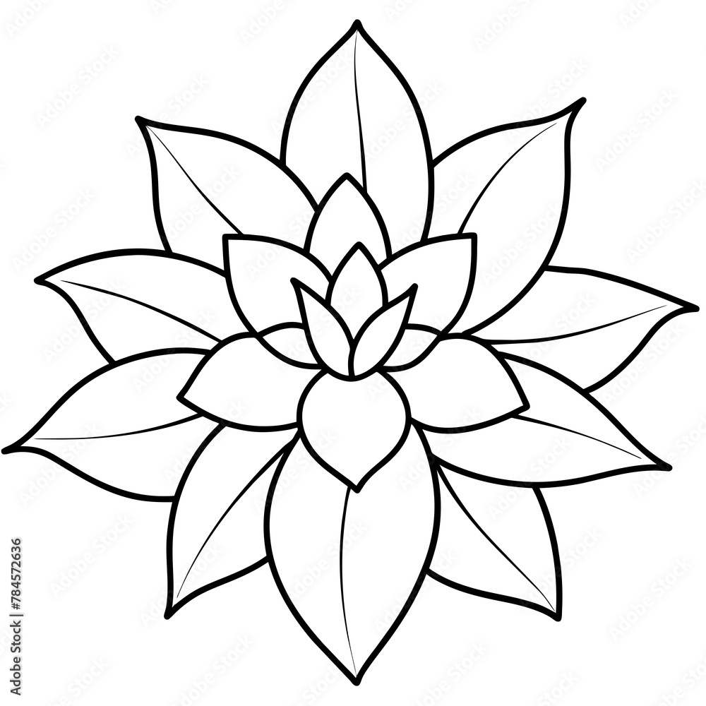 Flower vector illustration with line art.
Flower vector illustration with line art.
