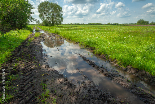 Mud and water on a dirt road next to a green meadow, view on a spring day