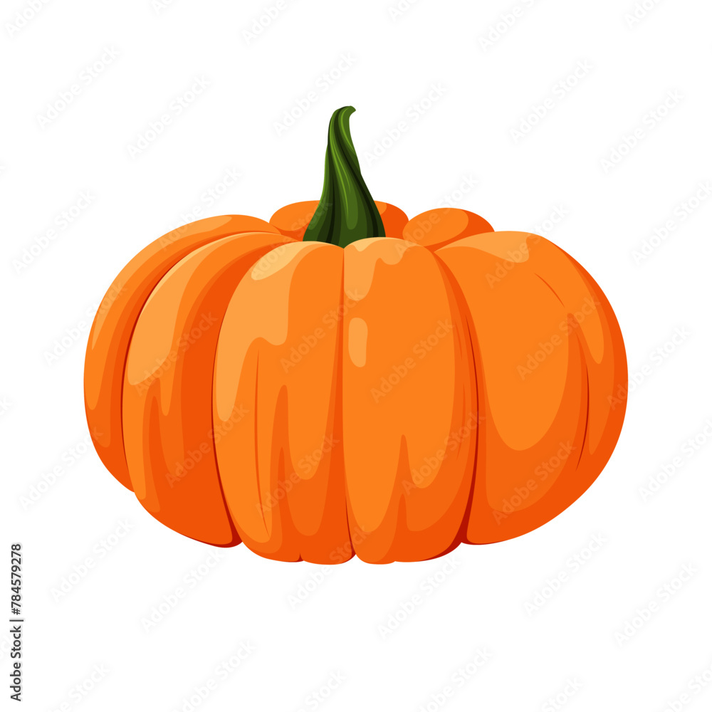 Obraz premium Ripe pumpkin on a white background. An autumn vegetable. Vector illustration. 