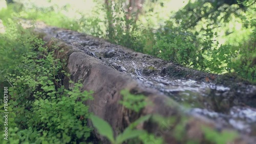Acequia con agua en plena naturaleza photo