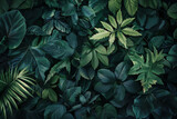 A background of various green leaves of different plants.