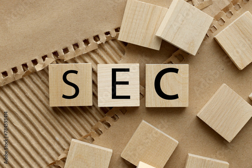SEC wooden cubes with black font