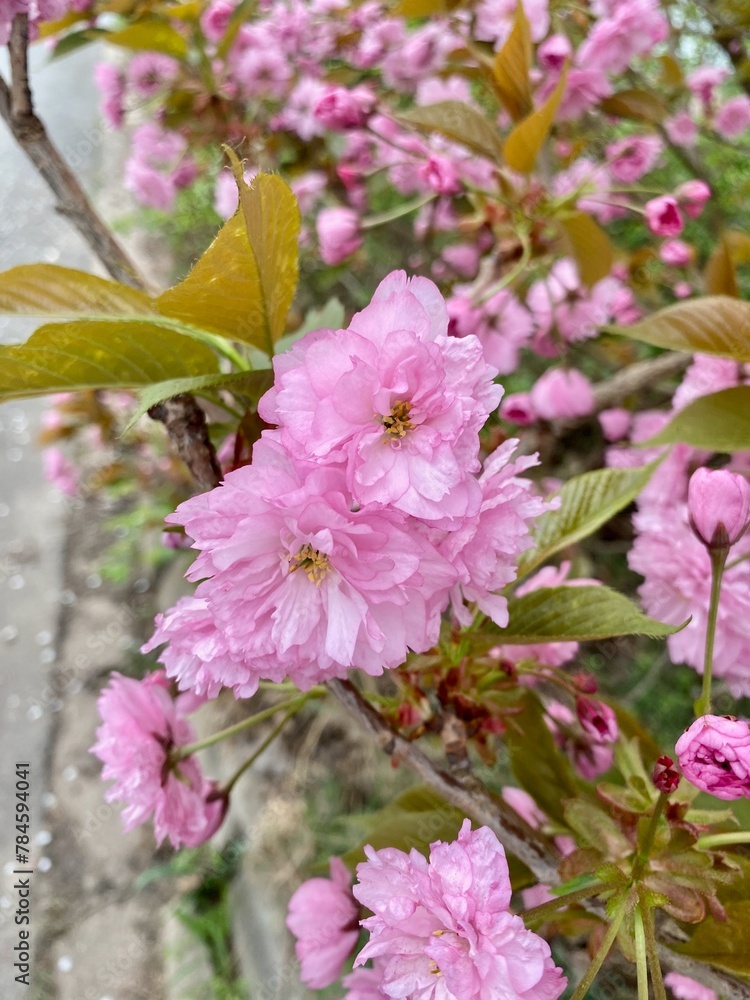 Obraz premium Wanderung um Wernrode