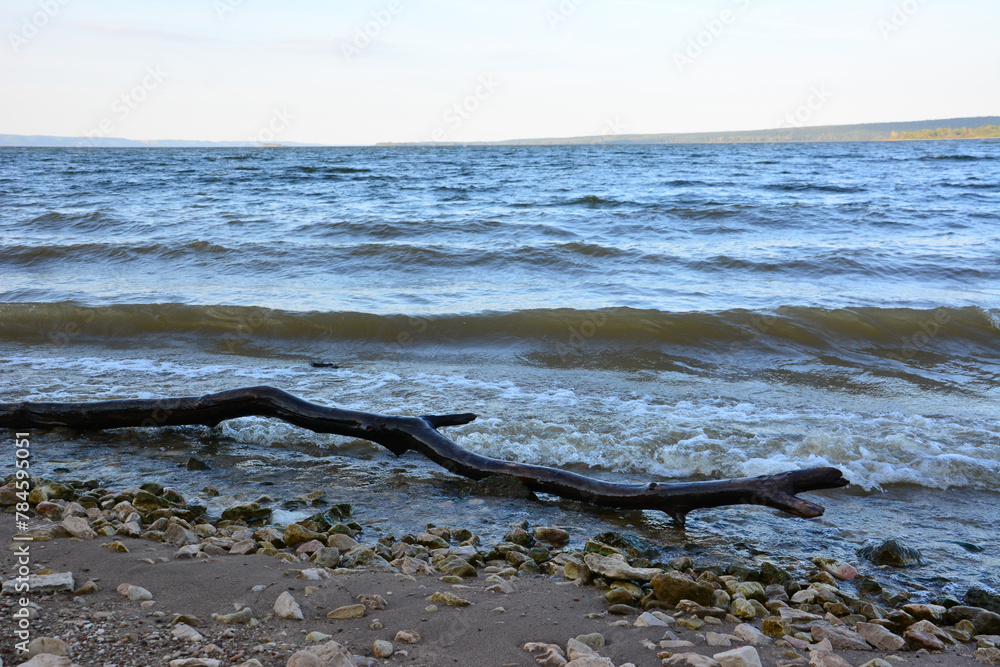 Fototapeta premium a fallen tree lies on the beach in front of the ocean 