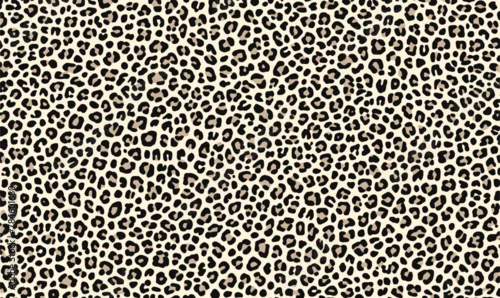 Obraz black and white leopard print pattern on the ground, flat illustration style, vector graphics, simple lines, minimalism, no shadows, white background, high resolution