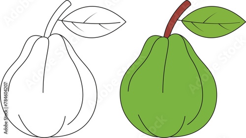 Guava Isolated Vector Illustration Coloring Page Hand Drawn for Kids 