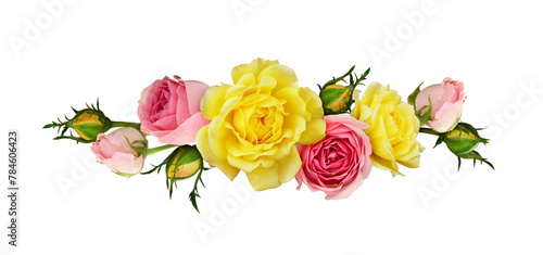 Pink and yellow rose flowers in a line arrangement isolated on white or transparent background. Flat lay. Top view.