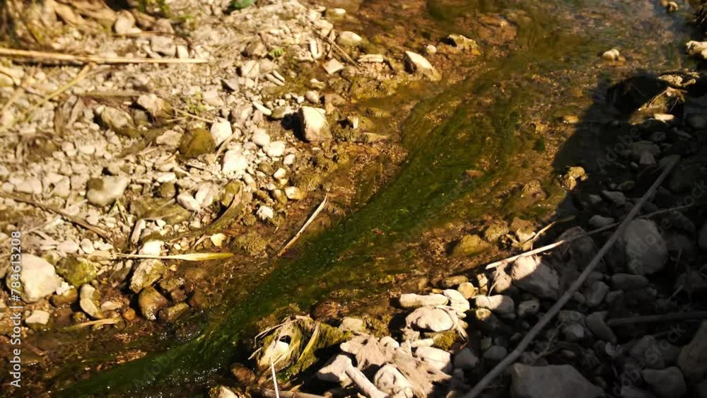 A clear stream running through rocky outcrops, a rich river flowing in slow motion on a rocky bed. The long green algae is in the river. A clear stream running through rocky outcrops, a rich river flowing in slow motion on a rocky bed. The long green algae is in the river.