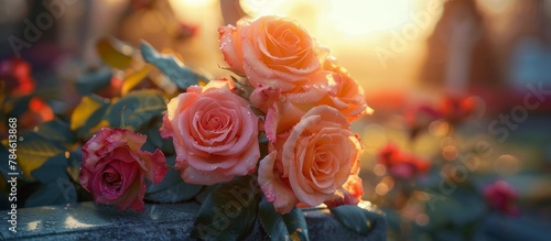 Roses Arranged on Table