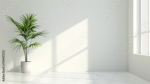 A stark white room with a single  vibrant green plant in the corner  the simplicity of the scene emphasizing the beauty of solitary elements.