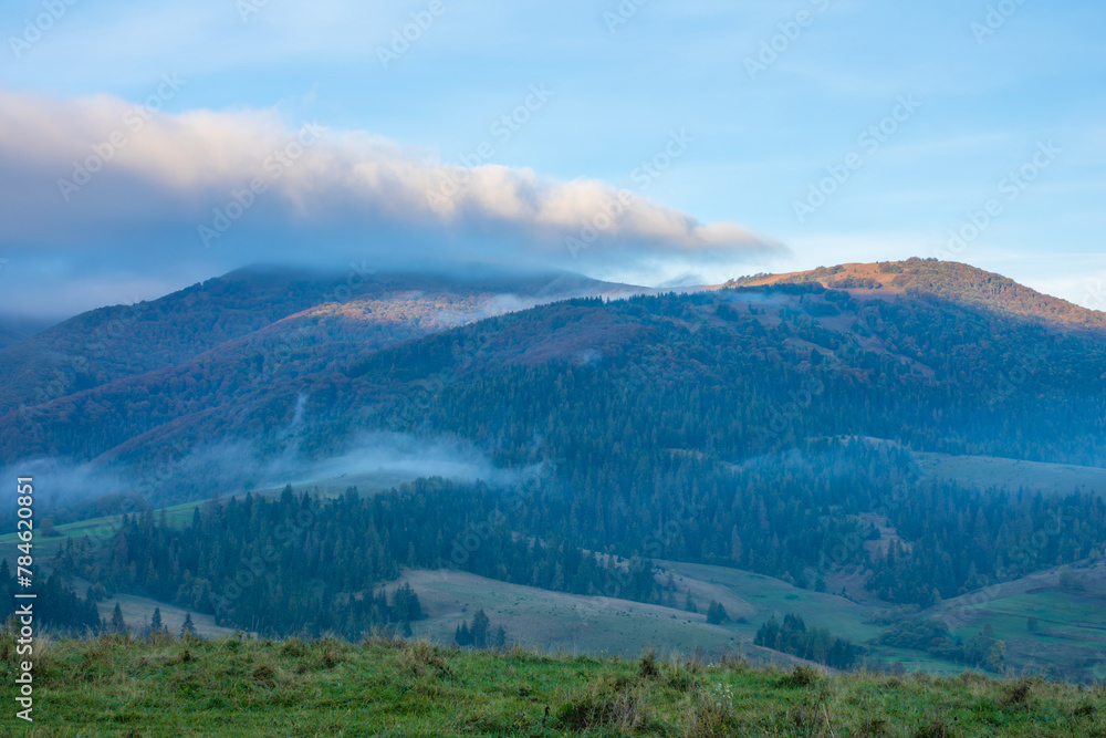 Morning Light Fog in a Wooded Valley