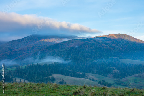 Morning Light Fog in a Wooded Valley