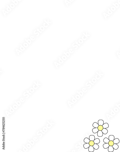 white flower background