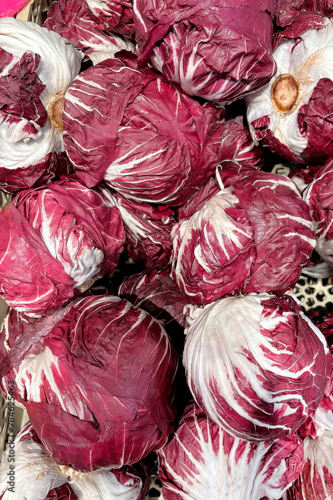 Fototapeta premium verdura di radicchio, radicchio vegetable
