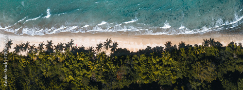 Aerial drone shot of Bingil Bay Beach at Mission Beach, Tropical North Queensland, Australia