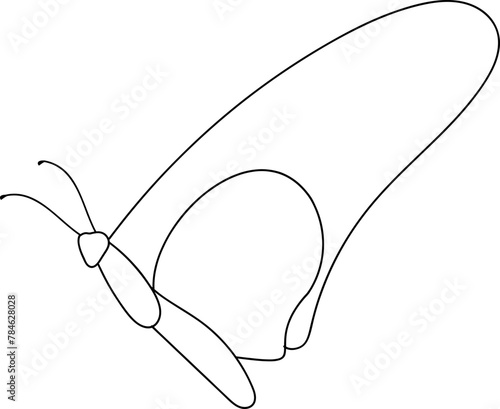Butterfly outline illustration