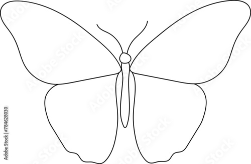 Butterfly outline illustration