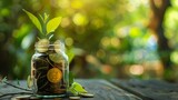 The image shows a jar filled with coins and a small plant growing out of it. The jar is sitting on a wooden table with a blurred background of green leaves.
