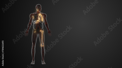 Prognosis and staging of Lymphoma