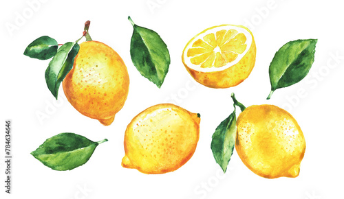 Lemon , set of lemons  on a transparent background , citron, watercolor illustration, lime , fruit, lemons and leaves, citrus photo